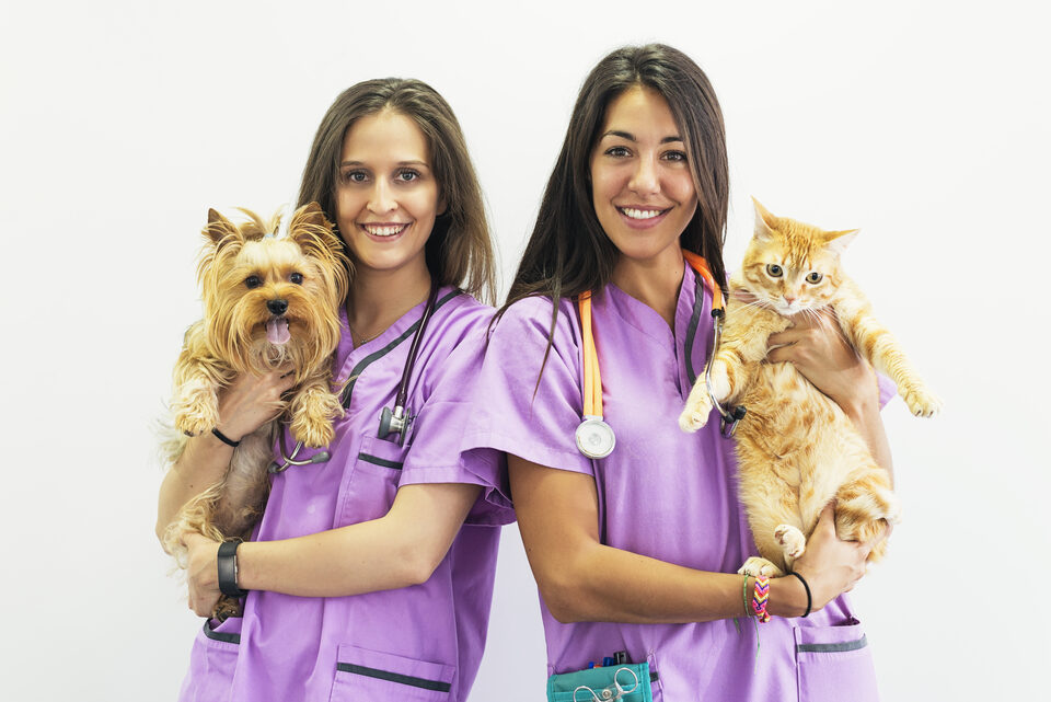 Veterinary
